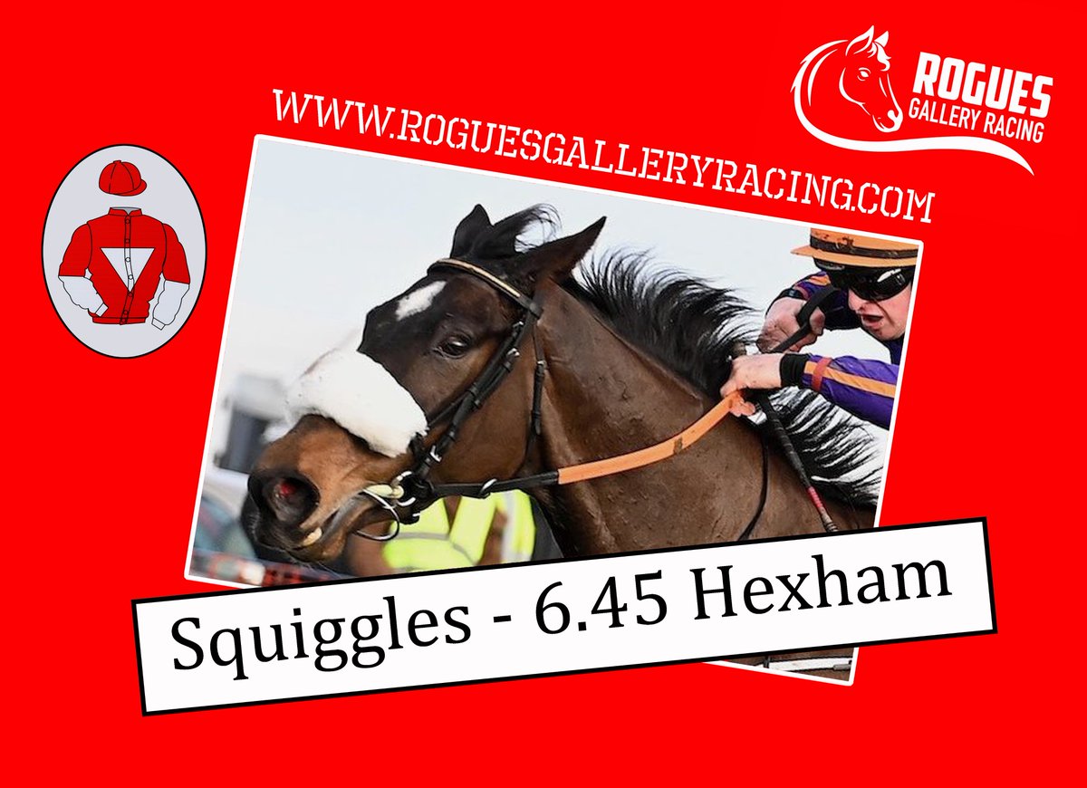 Squiggles is the 3rd runner for Rogues Gallery today. An impressive winner of her point to point, can we add a Cheltenham Festival winner to our Royal Ascot winner. Trained by @suesmithracing you wouldn't bet against it! roguesgalleryracing.com