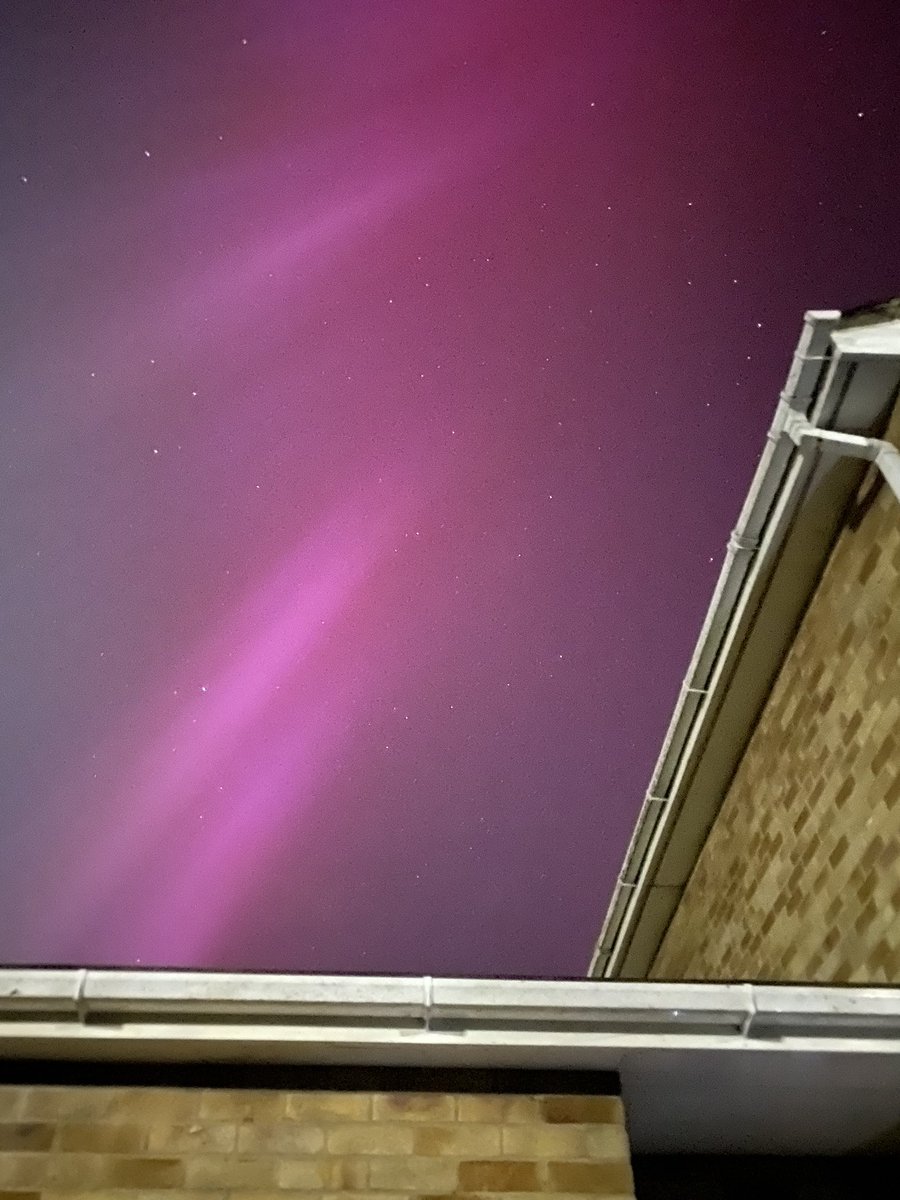 Mummified Mummy tweet media