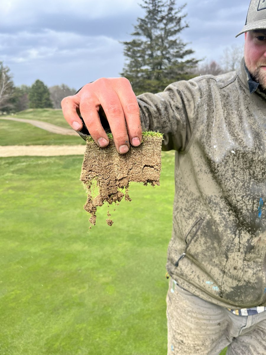 connorharrells1's tweet image. Early season roots from April! These customers all incorporate @HarrellsLLC earthmax organic, amino pro v and mycorrhizae pro into their monthly soil sprays and it’s paying dividends 🔥