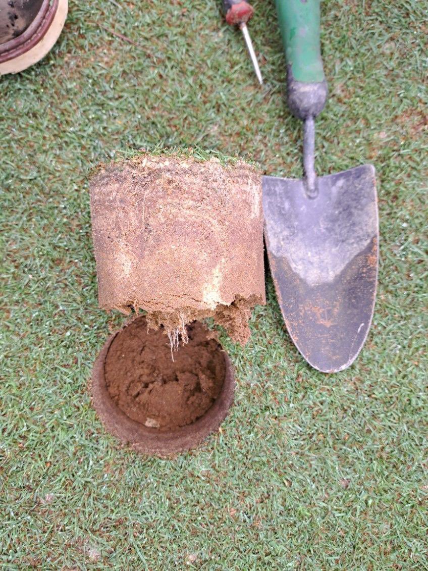 connorharrells1's tweet image. Early season roots from April! These customers all incorporate @HarrellsLLC earthmax organic, amino pro v and mycorrhizae pro into their monthly soil sprays and it’s paying dividends 🔥