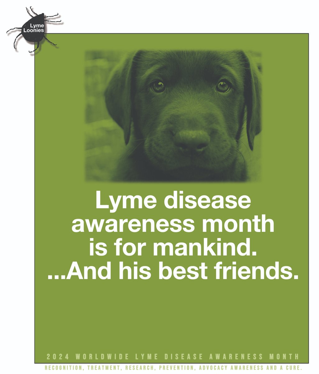 During #LymeDiseaseAwarenessMonth it goes without saying we can't forget about these guy's!

#LymeDisease #pets #dogs #CatsLover #animallover