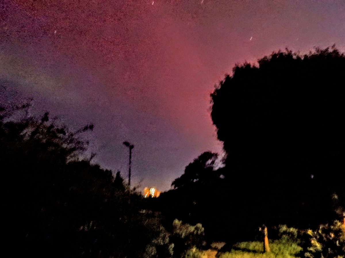 Aurora had but newly chased the night,
And purpled o'er the sky with blushing light.

John Dryden, 1700 (died May 12 1700)

May 11: My house; Cuthbert Terrace and Queens Park. #norternlights #auroraborealis #solarstorm