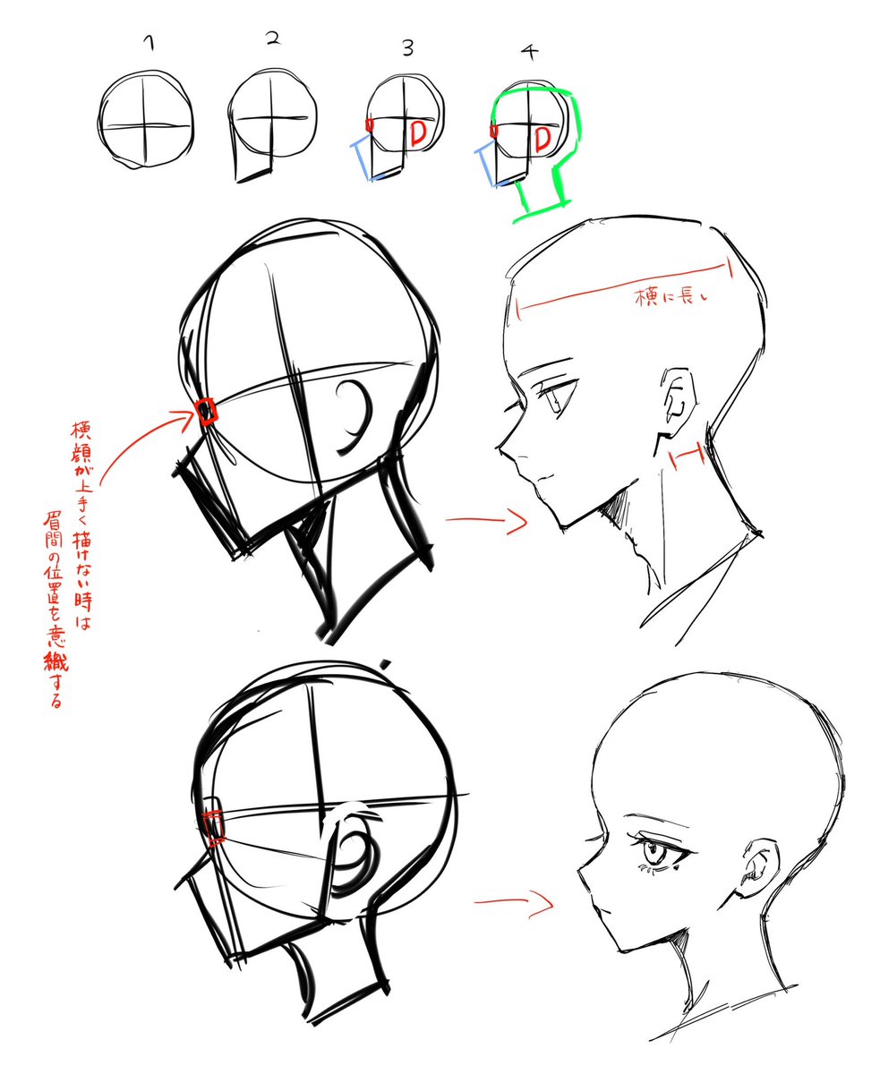 横顔描くの苦手すぎ人間の 最近の研究メモと、おまけ🗒✍🏻