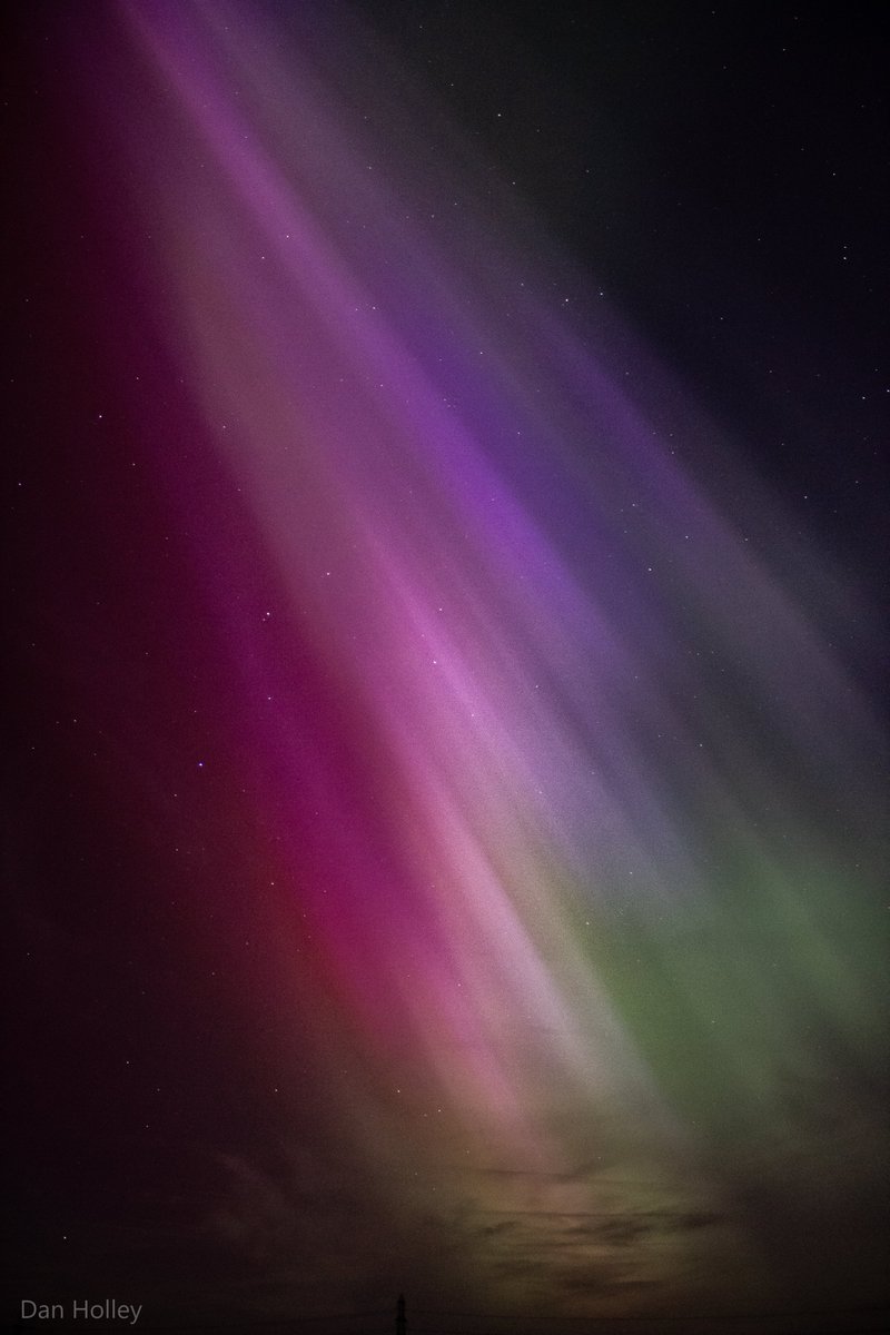 Dan Holley tweet media