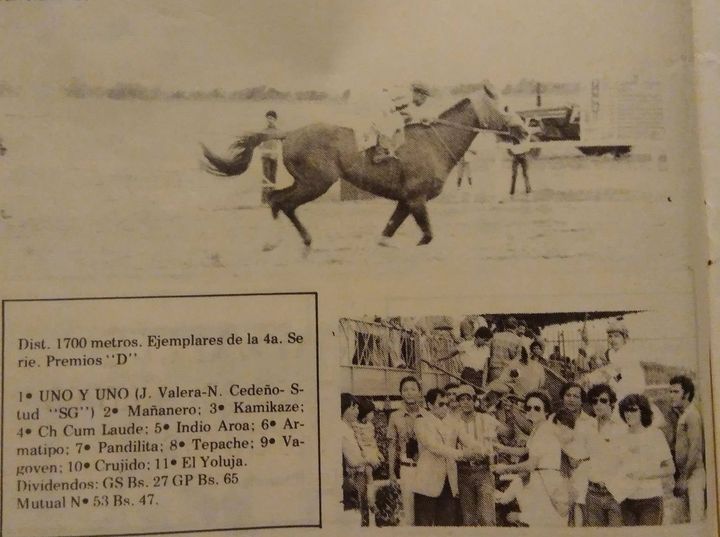 @zoramar08 UNO I UNO(Angle Light en Hickory Heifer) I.V.. Uno de los ejemplares mas costosos en Subasta de Fedeharas del año 77.. Multiple Ganador en el Municipal, Falleció de un infarto fulminante mientras servia en el Haras Patxi de los Pulcini.