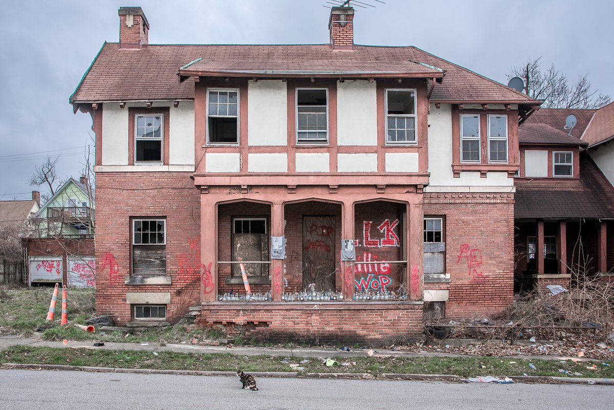 Another bottle monument, this time in East Cleveland, Ohio; an abandoned apartment complex 'shrine,' watched over by a small guardian.