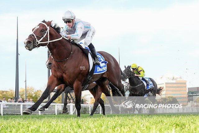 🏇RACING TODAY!🏇

📍 <a href="/SCTurfClub/">SCTurfClub</a> 

R6- G3 Gold Coast Guineas
🔹#CELUI

All the best to connections!

#horsepower #Racing #horseracing #cloud9 #thoroughbred #horse #thoroughbredsofinstagram #horses #thoroughbredhorse #racewithus #raceday #GoodLuck