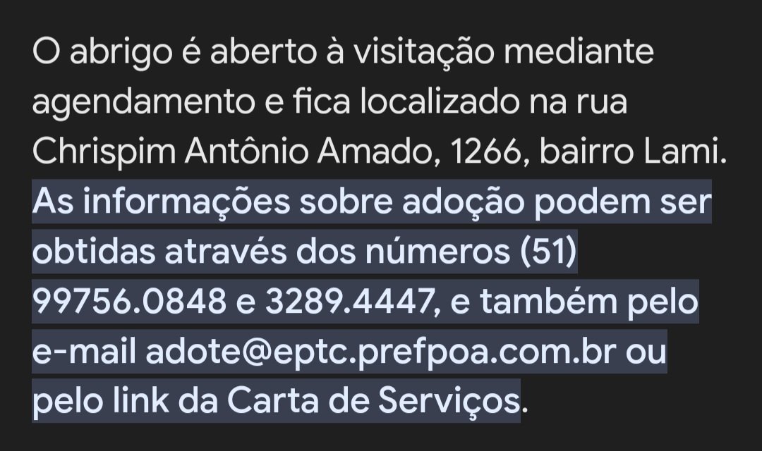 Boa noite @felipeneto e @gioewbank! O Caramelo vai ficar no RS, mas a prefeitura de Porto Alegre tem um programa que acolhe e encaminha para adoção equinos vítimas de maus tratos. Fiquei sabendo que vocês querem muito adotar um cavalo, agora não tem desculpa. Abraço! 👇