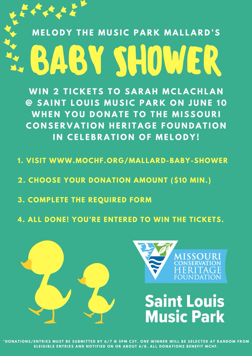 Our mallard mama Melody has asked that in lieu of binkies and bottles, you donate to Missouri Conservation Heritage Foundation🦆Your donation might also win you tickets to Sarah McLachlan on June 10! Donate here: mochf.org/mallard-baby-s…