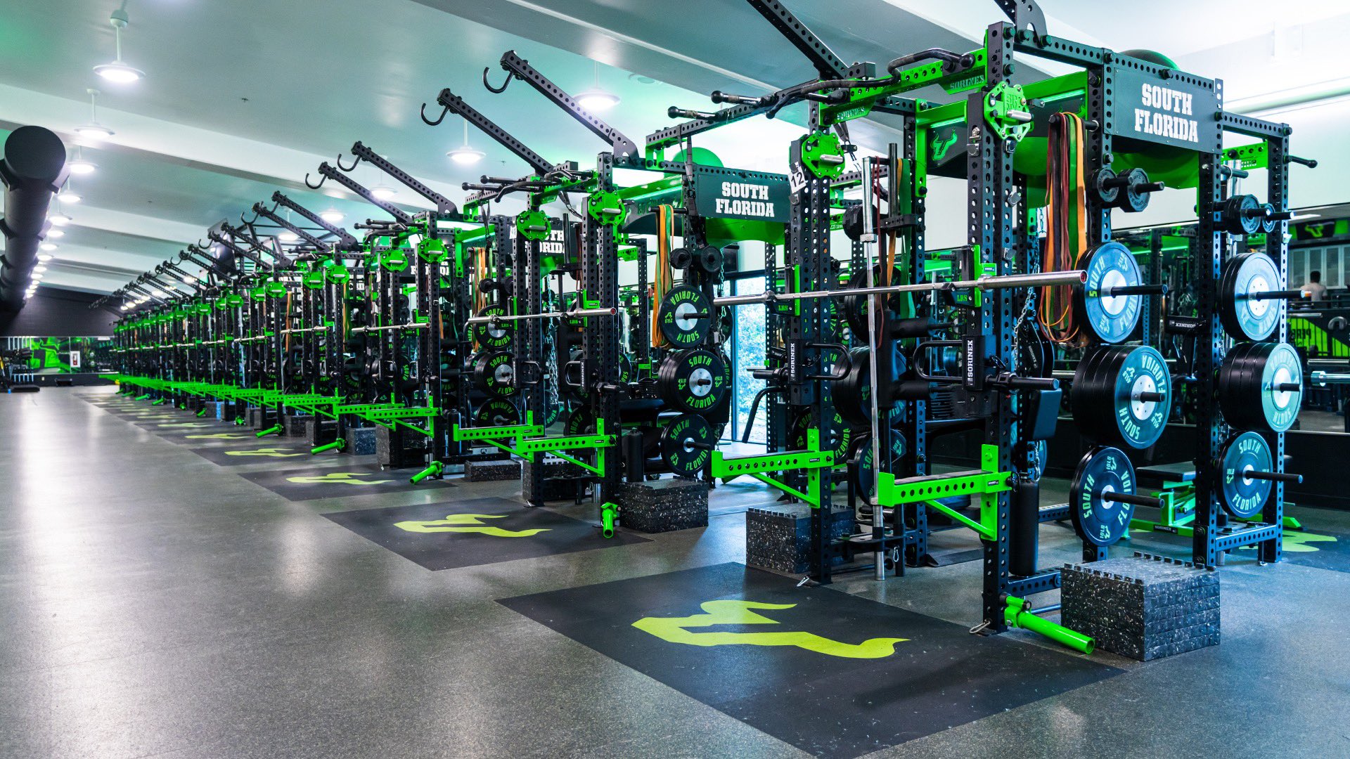 USF Football on X FacilityFriday Weight Room ComeToTheBay StayInTheBay https t tOqdKkVMG1 X