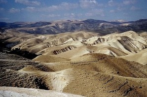 Diane Hope tweet media