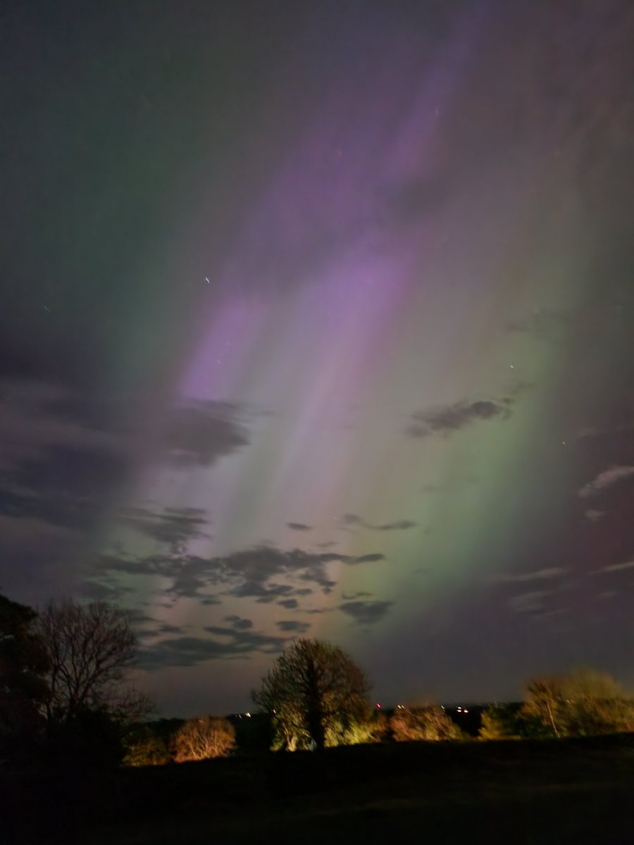 Pat Thornton tweet media