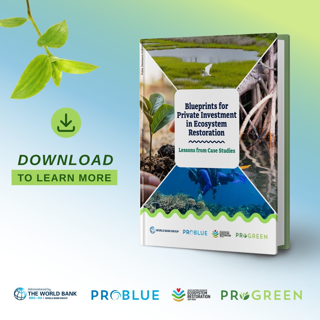 #DYK? A growing pool of private investors and companies is investing in nature restoration. What are the entry points for this private investment? 6 case studies shed light: wrld.bg/X6az50QXebu #ForestsForUs #WB_PROGREEN #PROBLUE_Ocean @WBG_Environment