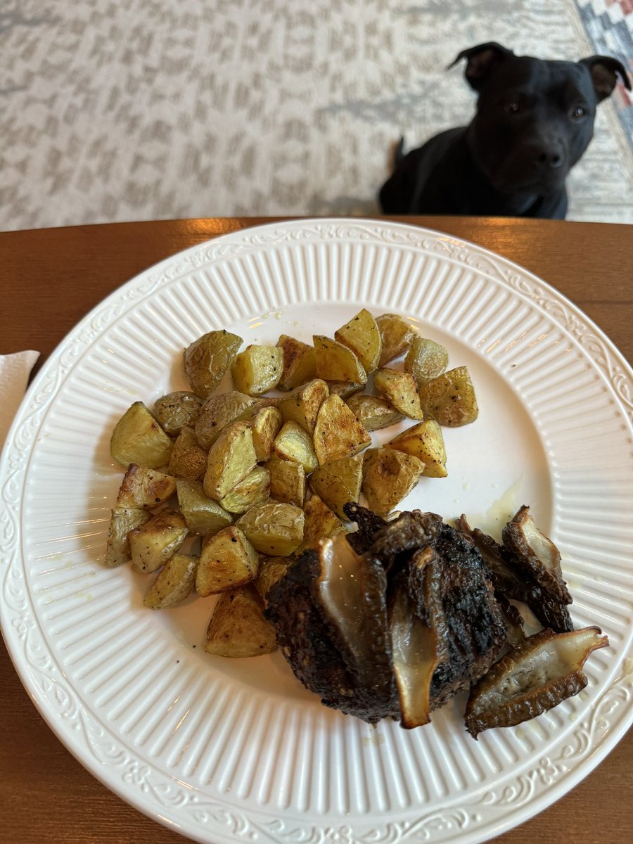 The good Lord provides. Wild Morel mushrooms finished in Makers Mark and butter, SRF Top Sirloin, and Gold Potatoes. Begging bull terrier approves. #twittersupperclub