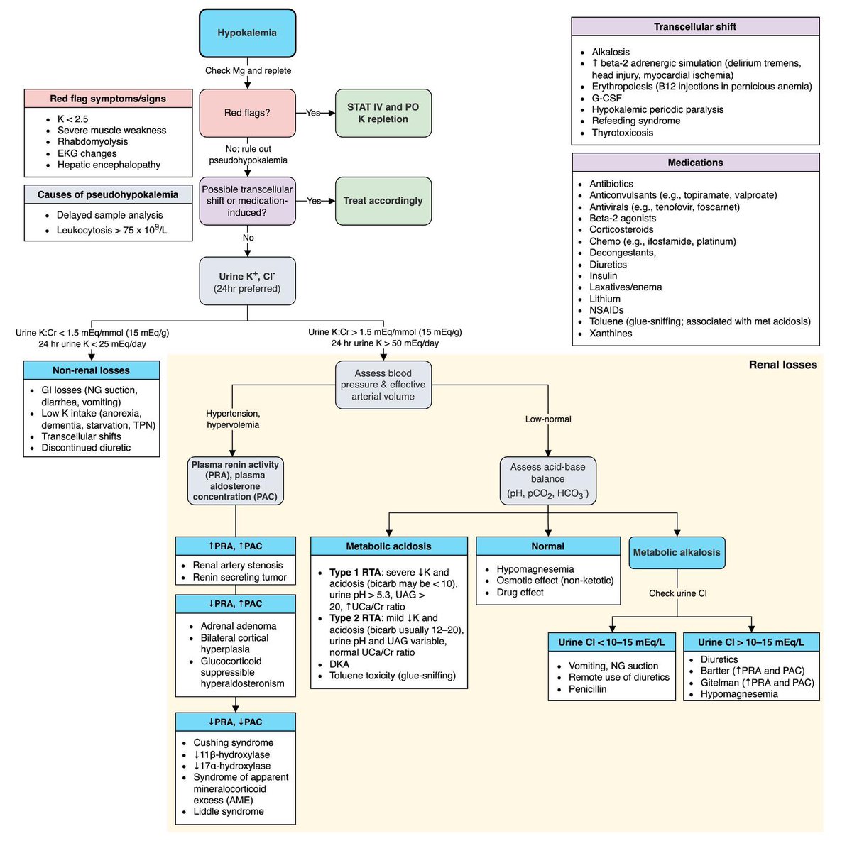 Hypokalemia - Diagnosis Algorithm

by @MatthewHoMD 
H/t @ManualOMedicine #MedEd #medx