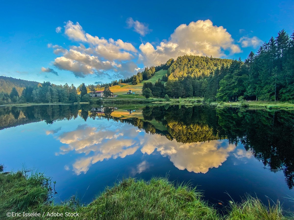 ドイツとの国境にほど近いヴォージュ山脈に美しい水を湛えるリスパッハ湖🌲✨

穏やかな初夏の陽気と素晴らしい景観を楽しみながら、心行くまで散策してみてはいかが？🚶🌱
#ExploreFrance
