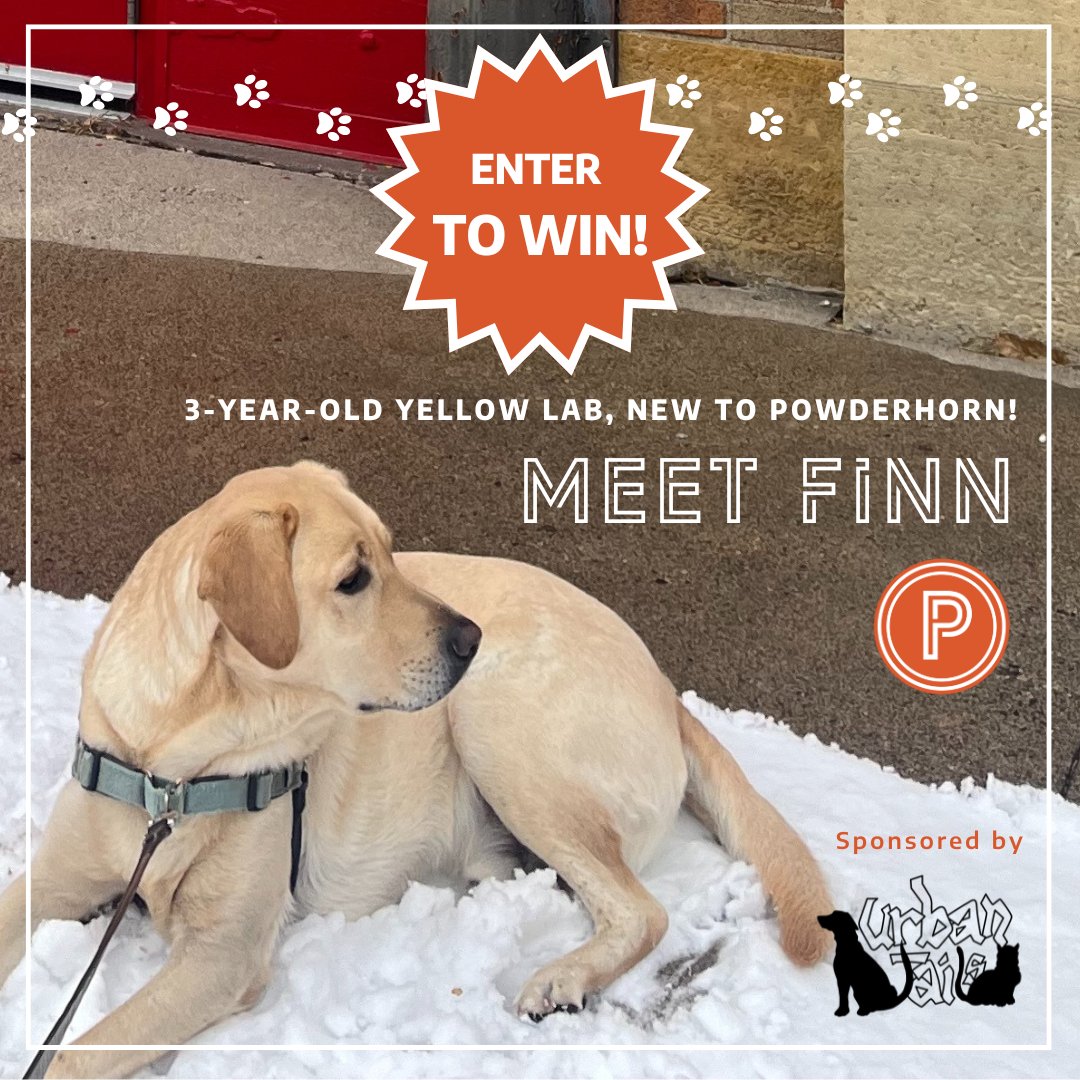 PowderhornMpls's tweet image. Welcome to the neighborhood Finn and his human, Susan! We are so lucky to have you. 🧡

Join us in celebrating #NationalPetMonth and submit a photo of your beloved companion to Pets of Powderhorn, for a chance to win! forms.gle/JuKLAPAicDzrQx…

#PetsofPowderhorn #Minneapolis