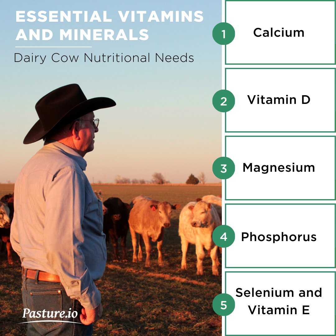 Nourish your dairy herd for peak productivity! It's more than just feeding—discover the vital nutrients essential for optimal milk production, health, and successful reproduction.

Learn from the best at:
bit.ly/4b4iI1N

#livestockfarming #soilhealth #farminglife