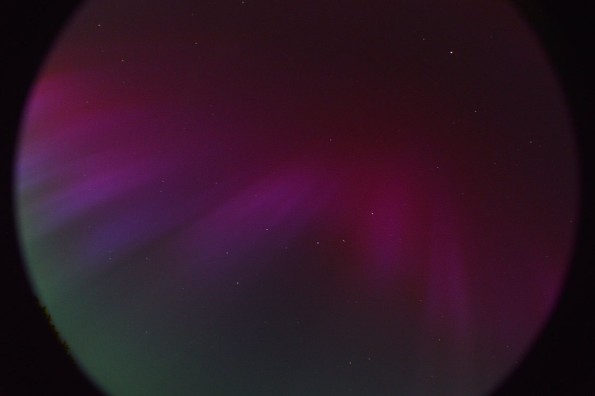 Beth Saunders tweet media