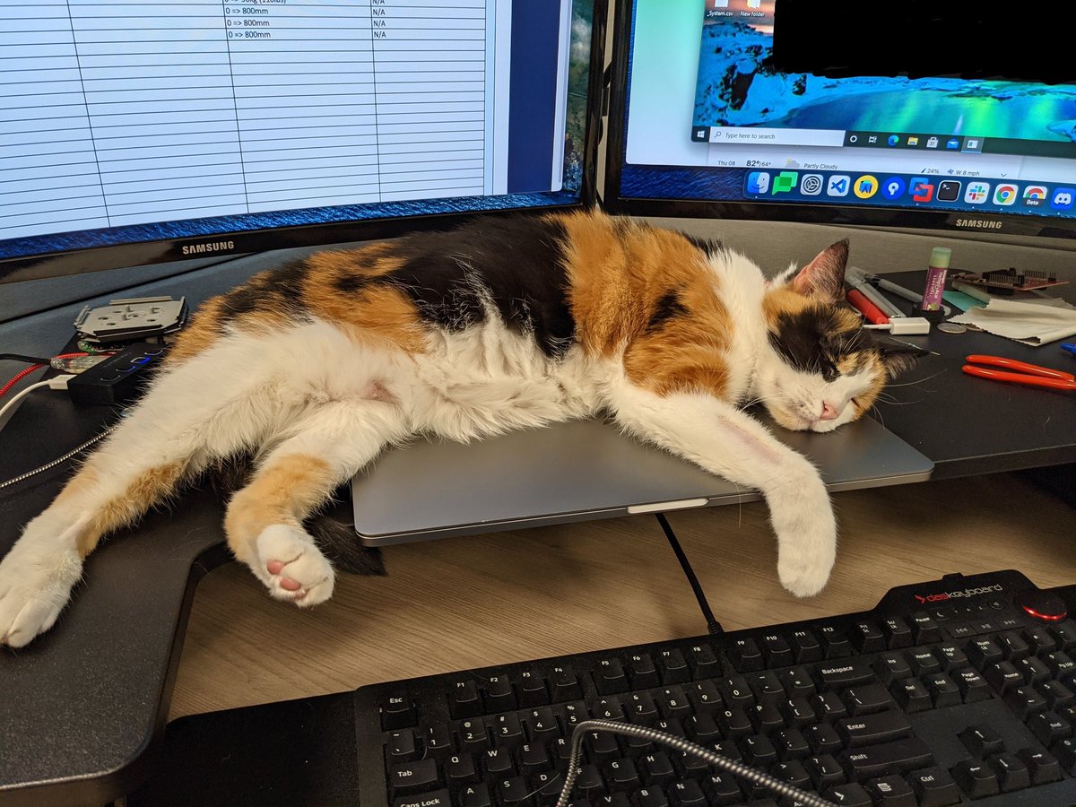 daskeyboard's tweet photo. It's that time of the week again! We hope you get some solid R&R this weekend.
#RelaxationTime #CatsofInstagram #KeyboardCats #WeekendMood #ChillTime #CatNap
#KatsOnKeyboards #CatsOnKeyboards #KeyboardCat #CatKeyboard https://t.co/pMsQdQ5LIX