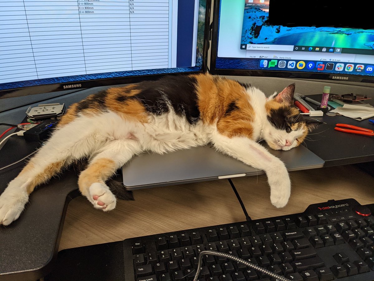 It's that time of the week again! We hope you get some solid R&R this weekend. 

 #RelaxationTime #CatsofInstagram #KeyboardCats #WeekendMood #ChillTime #CatNap
#KatsOnKeyboards #CatsOnKeyboards #KeyboardCat #CatKeyboard