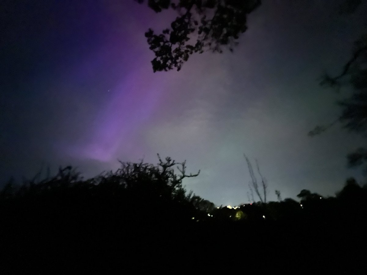 Nancy Chen tweet media