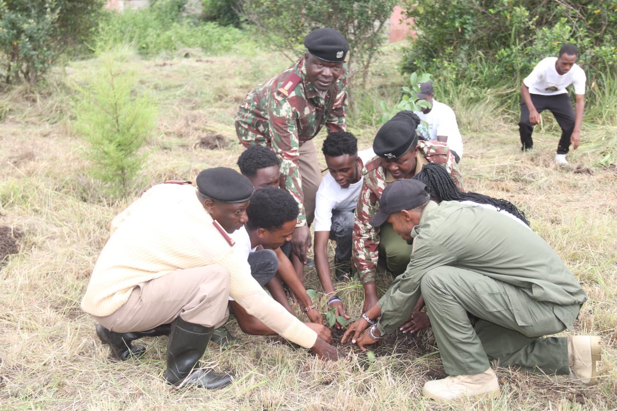 DEDAN KIMATHI FOUNDATION tweet media