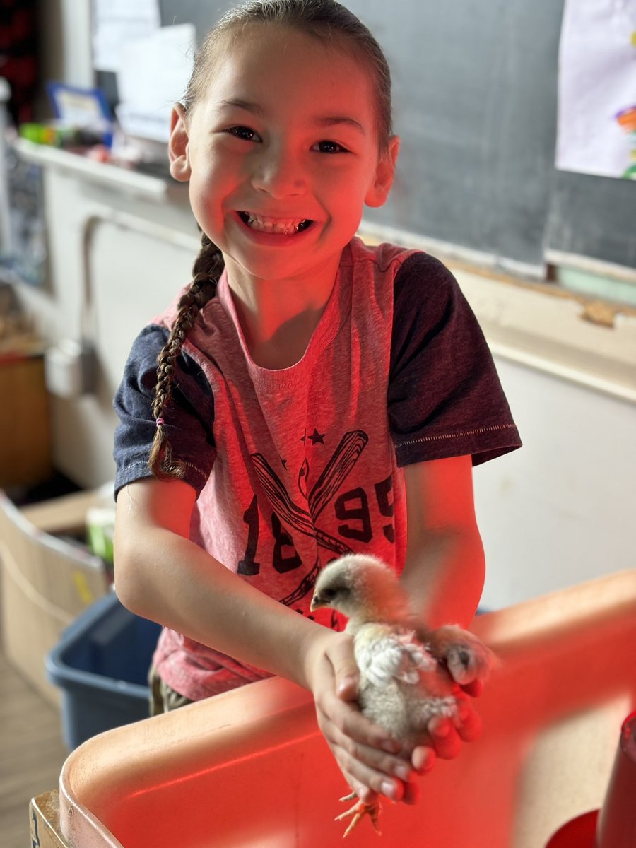 We said goodbye to our 🐥 today 😢