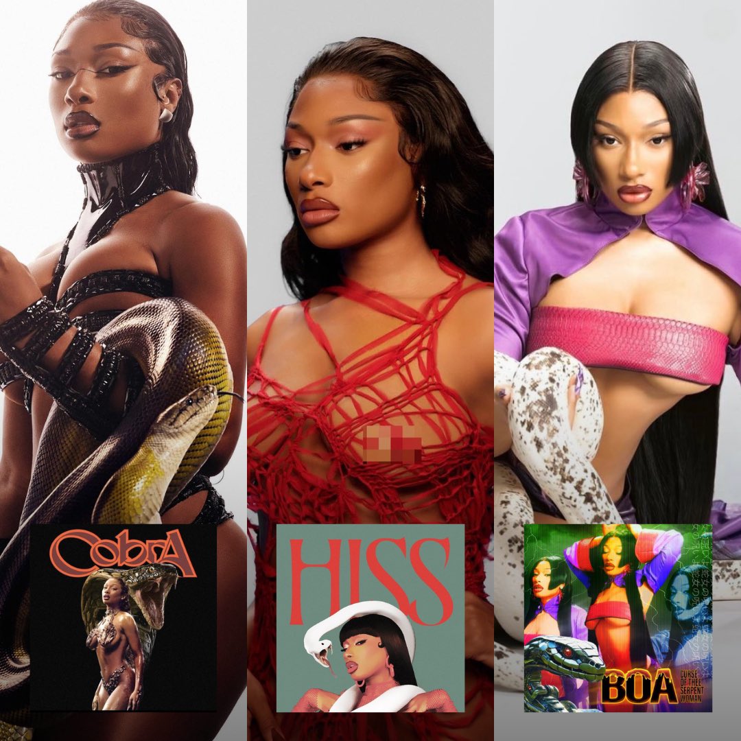Megan Thee Stallion has released 3 singles from her upcoming 3rd studio album: Cobra, HISS, and #BOA.

Which one’s your favorite?