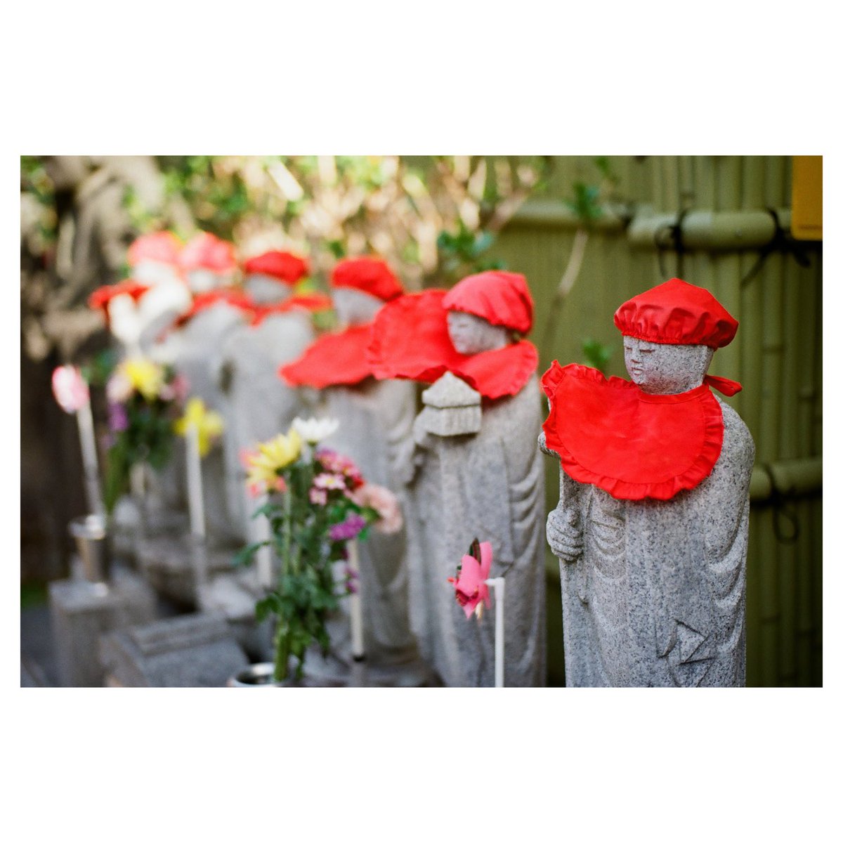 LensShutter's tweet image. Protection  

📷 Leica M-A
🎞️ Kodak ColorPlus
📍Tokyo