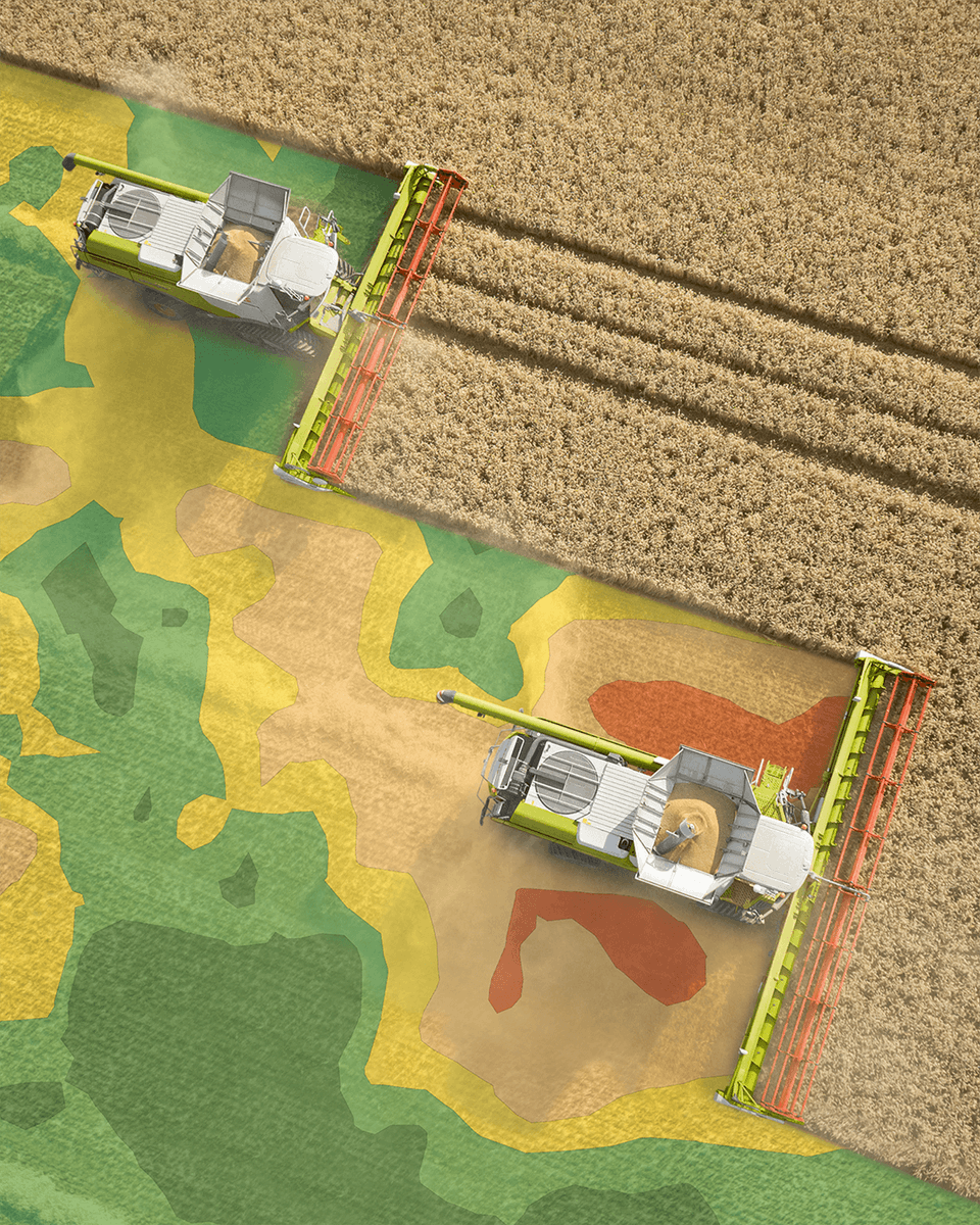 Ready to take the hassle out of machine settings? With CEMOS Advisor, there's no more guesswork. This on-board CLAAS advisor auto-adjusts to optimal settings in response to changing conditions. Experience effortless gains and optimize your harvest! bit.ly/3Iby0ox #CLAAS