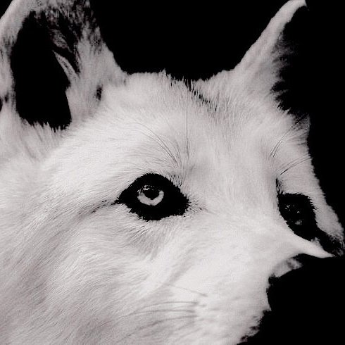 ⠀⠀⠀
⠀⠀⠀
⠀⠀⠀⠀ ⠀⠀⠀   ،، 𝑻𝐇𝐄 𝐁𝐄𝐆𝐈𝐍𝐍𝐈𝐍𝐆 𝐎𝐅 𝐀
⠀⠀⠀⠀ ⠀⠀⠀   𝑪𝐀𝐋𝐀𝐌𝐈𝐓𝐘.
⠀⠀⠀⠀⠀⠀
⠀⠀⠀