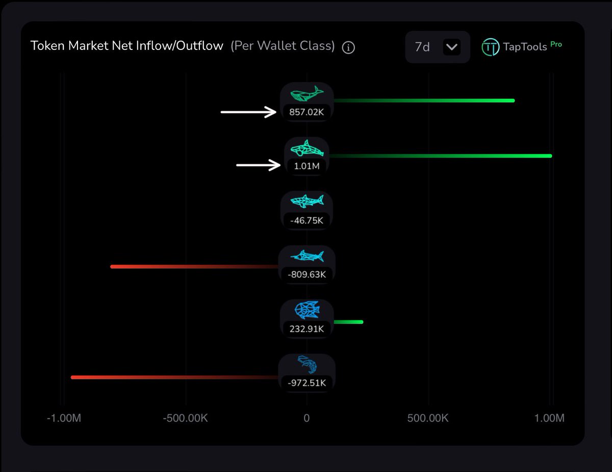 Over the past 7 days WHALES & ORCAS been accumulating Cardano native tokens aggressively. 2 Million $ADA worth over 7 days. CARDANO NATIVES are about to make a run for it. Something is brewing.