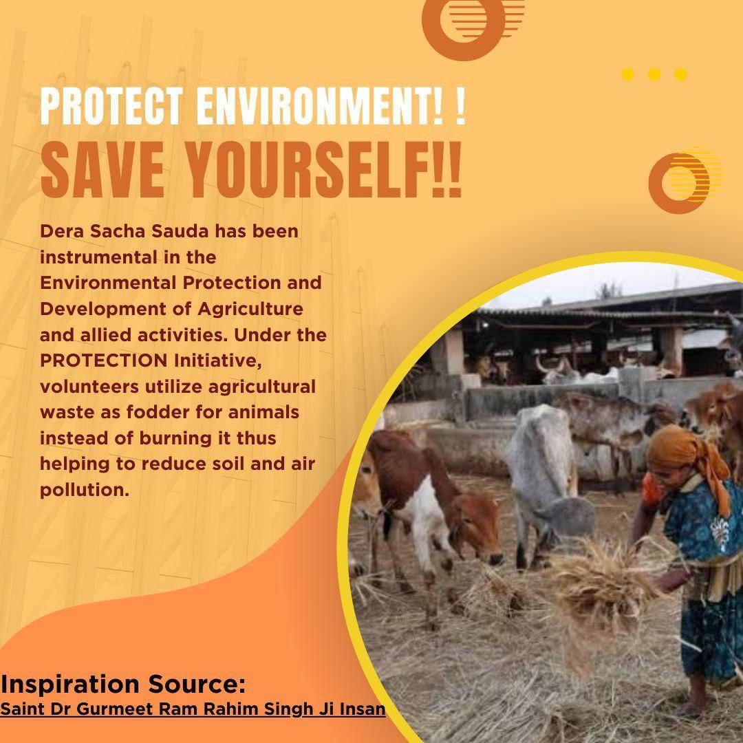 Protection Campaign - Saint Ram Rahim Jisuggested the best way of utilizing stubble that will not harm the environment and soil’s fertility, and this is by utilizing it as fodder for animals!
The crop residue can be deposited in cow houses!

#PollutionFreeNation