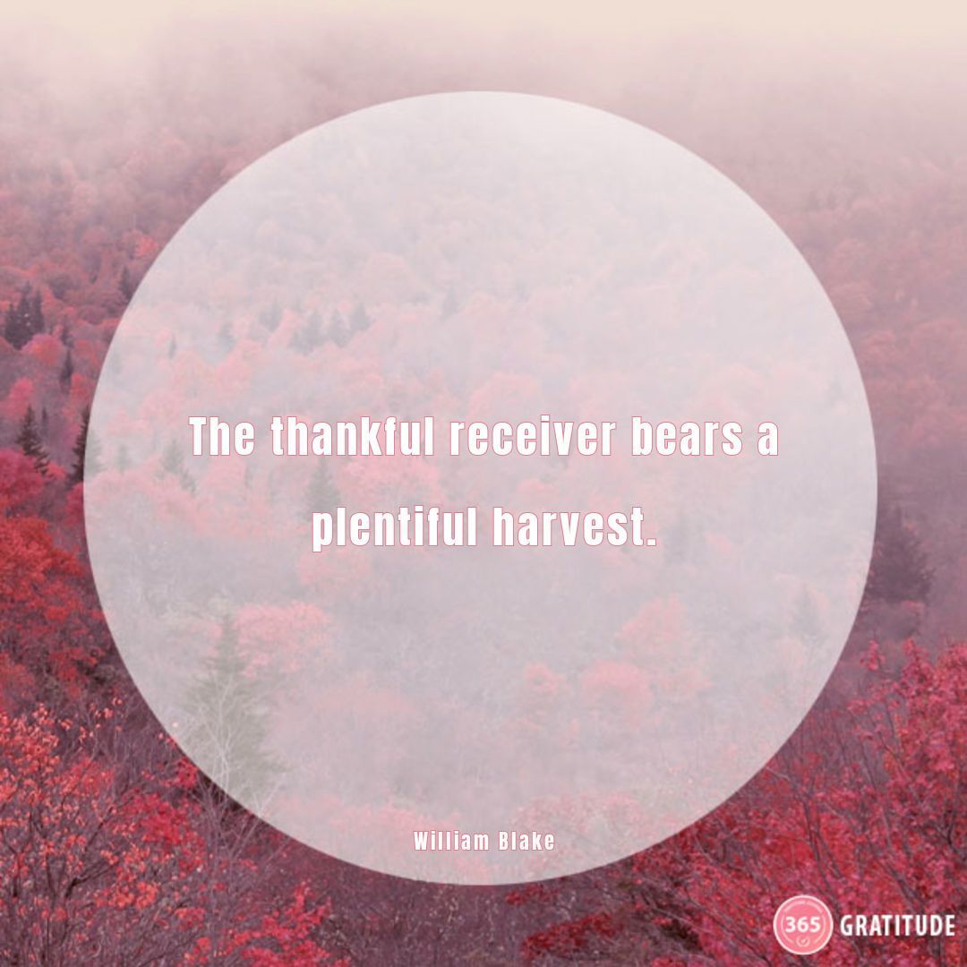 A thankful heart sees abundance everywhere. #gratitudejournal