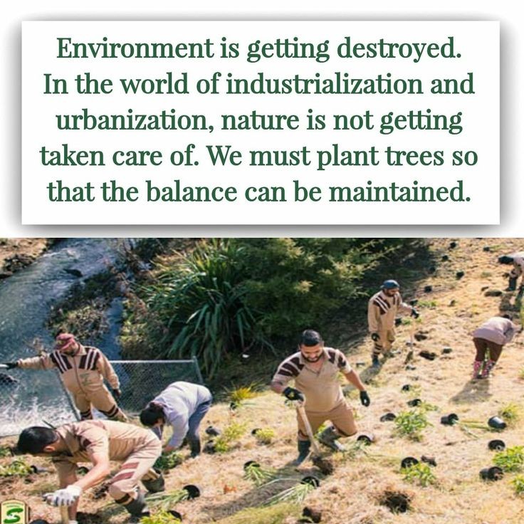 Giving a serious thought on all the dangerous reasons of pollution, we should ensure the safety measures for its eradication. We have to make our Earth neat, clean and developmental just like dera volunteers do inspired by Saint Dr Gurmeet Ram Rahim Singh Ji. #PollutionFreeNation