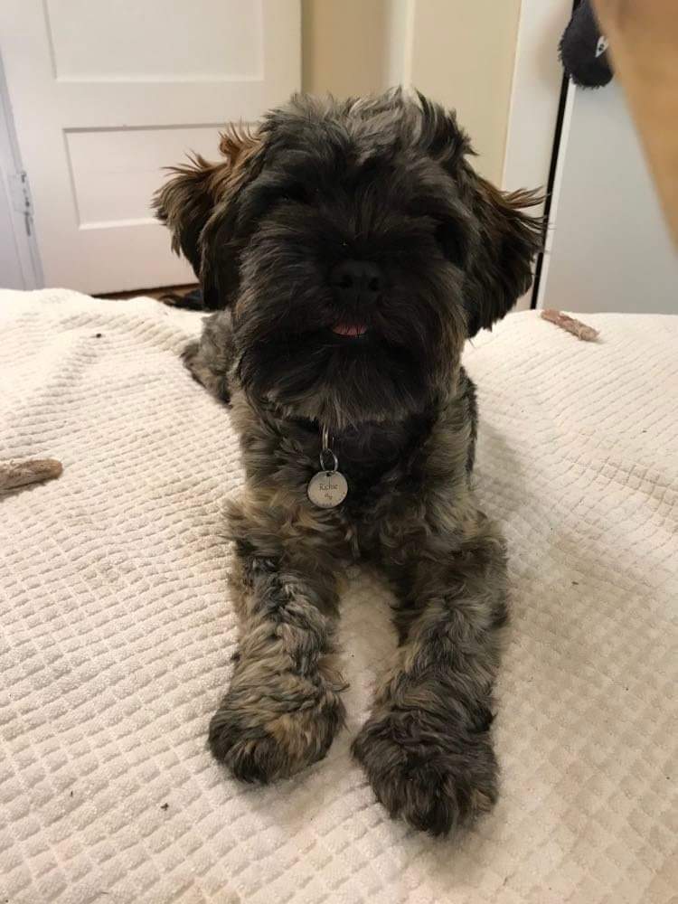 Urban/Rural Davide 🤟 (@tccoyote) on Twitter photo 