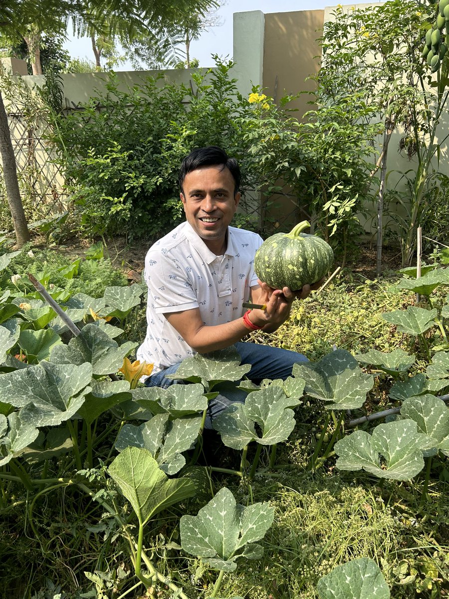 One of the healthiest habits that you can adapt is growing your own vegetables - try whatever you can. #vegetables #HealthyChoices