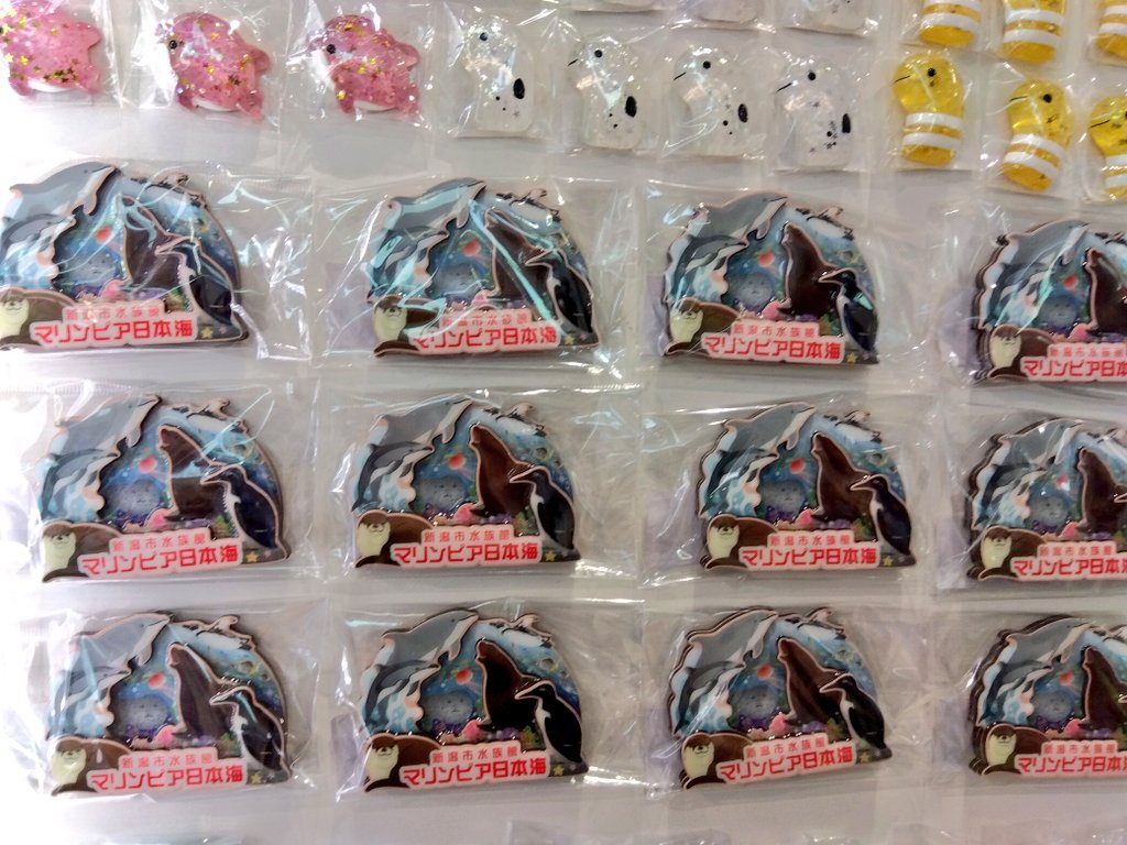 新発売‼️ 「オリジナル 木製マグネット」 マリンピア日本海のハンドウ