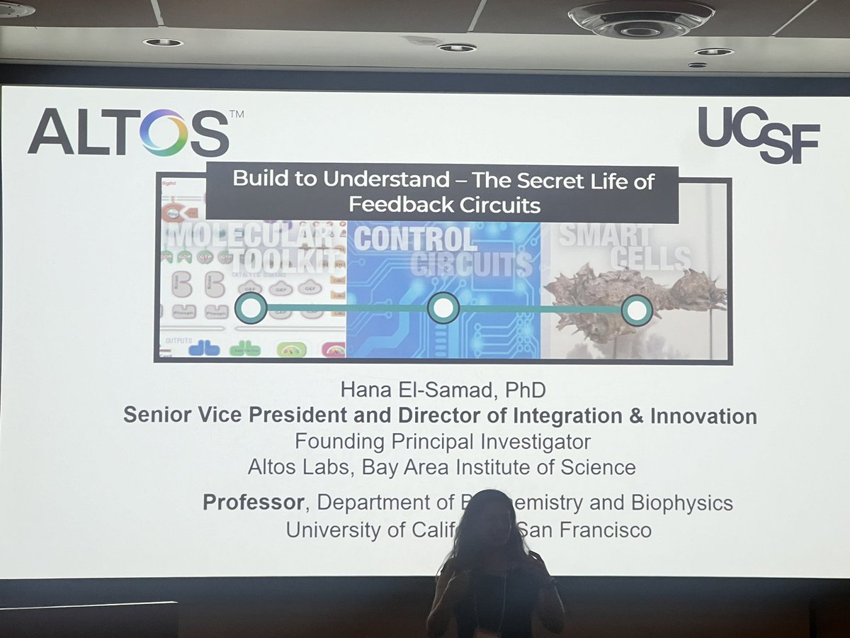 The Chaturvedi Lab (@chaturvedi_lab) on Twitter photo Enjoyed a fascinating talk on feedback circuits and loved learning about your experience of launching the lab (twice) over lunch. Great insights and even better company! Thank you, <a href="/HanaScientist/">Hana El-Samad</a> for all the guidance and a wonderful talk! #ScienceCommunity #LabLife Enjoyed a fascinating talk on feedback circuits and loved learning about your experience of launching the lab (twice) over lunch. Great insights and even better company! Thank you, <a href="/HanaScientist/">Hana El-Samad</a> for all the guidance and a wonderful talk! #ScienceCommunity #LabLife