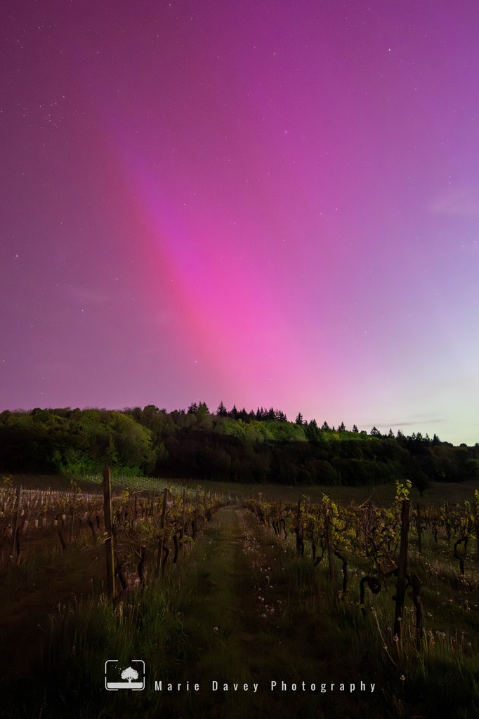 Wow! What an unbelievable night! Who'd have thought we'd get the Northern Lights in Surrey!! Incredible!

This is a very quick edit (as it's 2.45am!), so not perfect, but just such an incredible experience that I wanted to share...

#denbies #northernlights