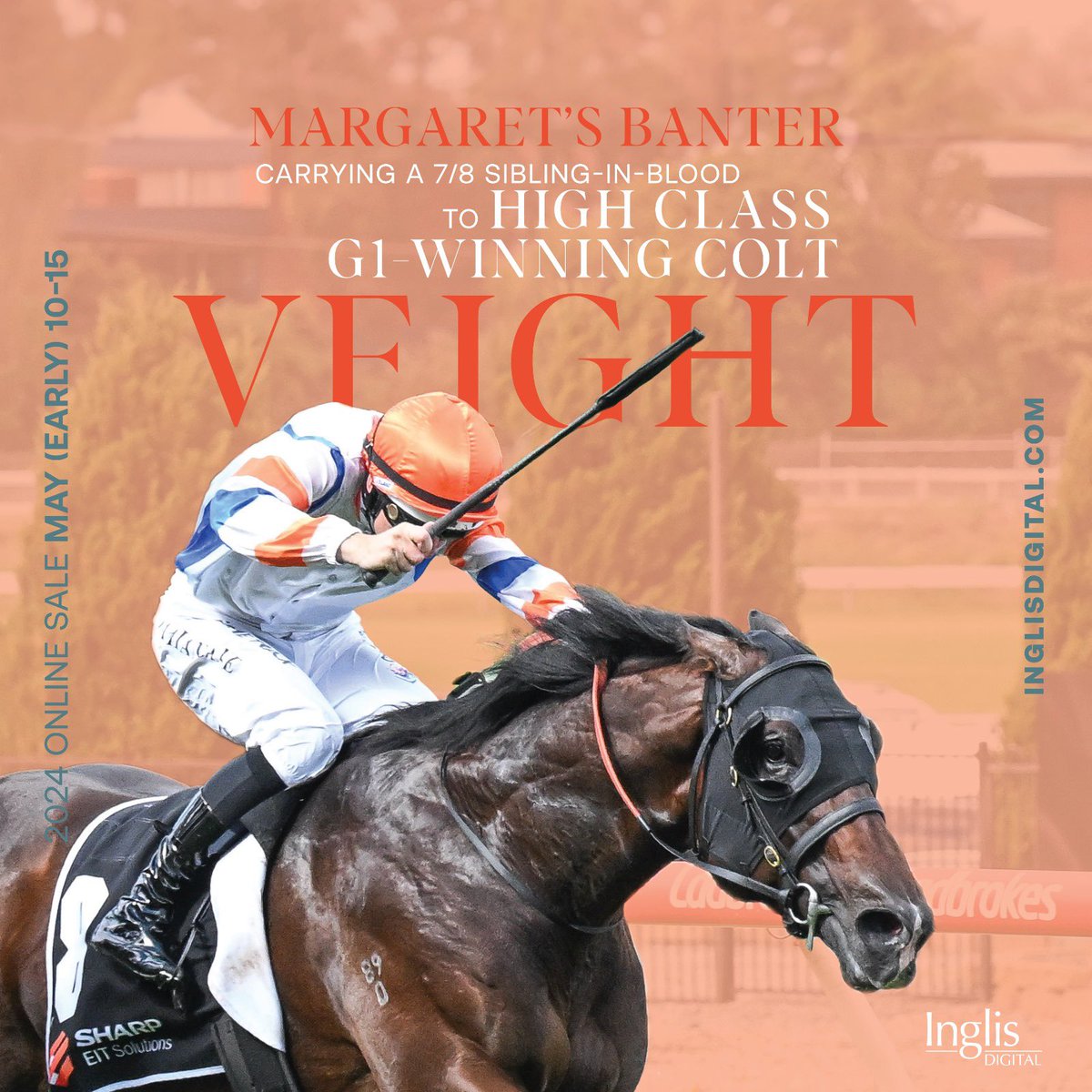 Carrying a 7/8 sibling-in-blood to high class G1-winning colt Veight, MARGARET’S BANTER is sure to have plenty of eyes on her in the current #InglisDigital sale. View the listing here: bit.ly/3WDlE18