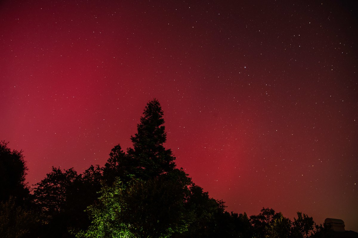 Northern Lights from EDH. It does not look like this with the naked eye. This is a 30 sec exposure.