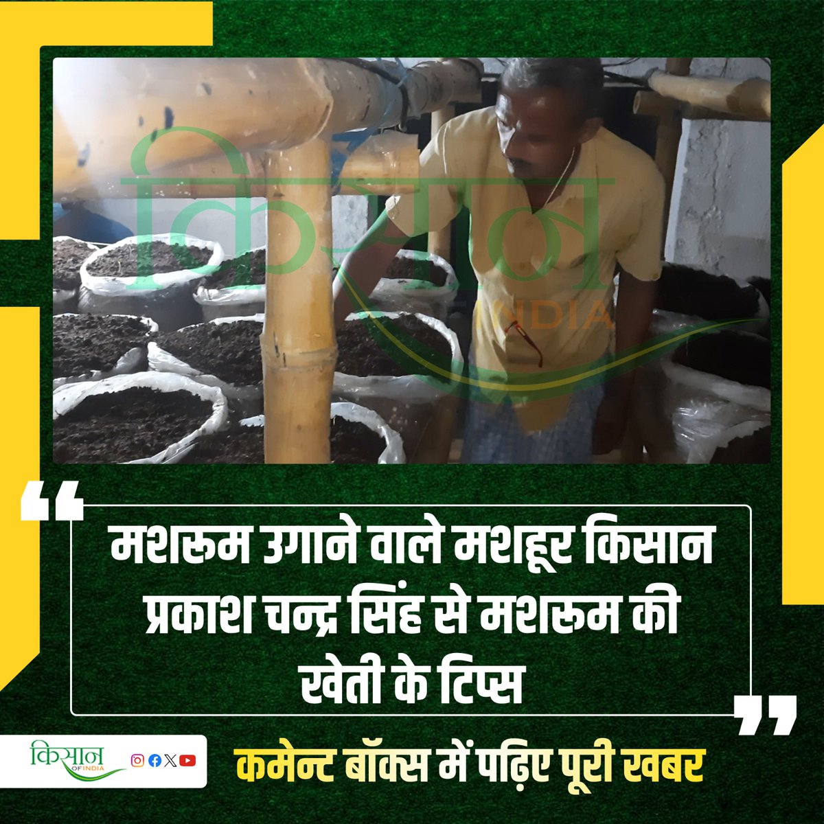 किसान प्रकाश चन्द्र कर रहे हैं वैज्ञानिक तकनीक से मशरुम का उत्पादन
#KisanOfIndia #Agriculture #Mushroom  #MushroomFarming #Patna #Kisan #MushroomBusiness