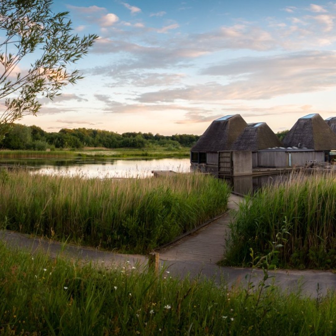 Join us for a magical evening walk at Brockholes! 🌇 Discover the beauty of nature as the sun sets. Our car park is open until 9pm giving you the freedom to visit throughout the evening. Learn more: bit.ly/3uJ2Sda (📸 Nancy Lisa Barrett Photography)