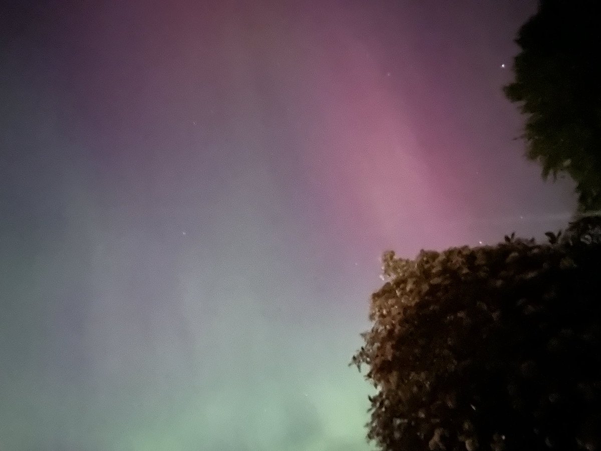 KeiraSera's tweet photo. Best night to have clear skies in Seattle 💚💜🌌
#Auroraborealis #seattleskies #finally #checkedoff #magical https://t.co/XIKiRgJe3S