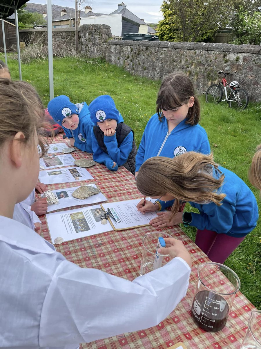 Great fun yesterday at the #Ulluminate school science fair with @AilsaMcL from @seawilding! Marvellous molluscs and using science to find the best conditions for native oyster and #seagrass restoration.