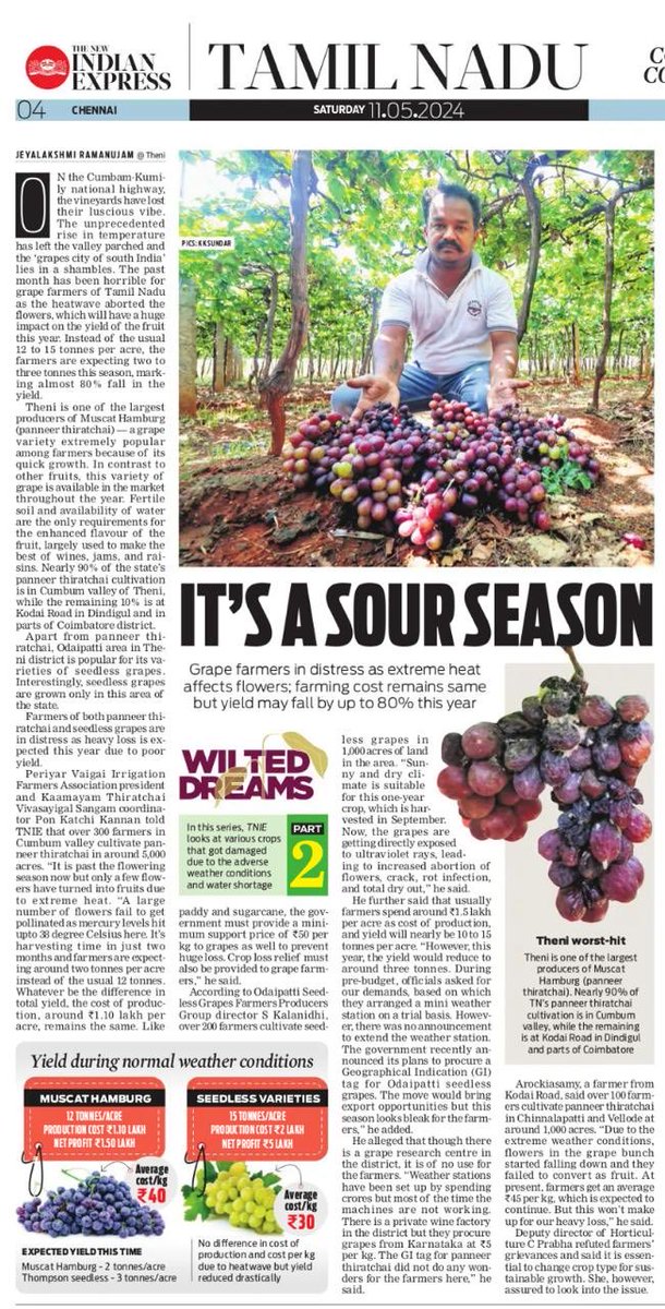 तमिलनाडु में अंगूर उत्पादक किसान संकट में हैं क्योंकि अत्यधिक गर्मी के कारण उनके फूल गिर रहे हैं ! जिस कारण फल कम तैयार हो रहे है उत्पादन में लगभग 80% की गिरावट आने की संभावना है। #TNIE ने किसानों पर एक श्रृंखला #WiltedDreams में बारीकी से नज़र डाली है ।