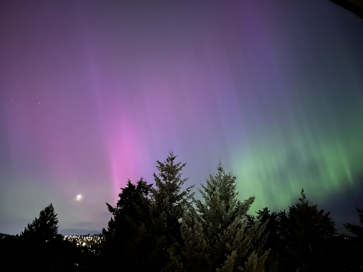 ShethMauni's tweet photo. What an awestruck moment. Never imagined I would be able to see this from city itself #Auroraborealis #Aurora #NorthernLights https://t.co/22ECiFOFaZ