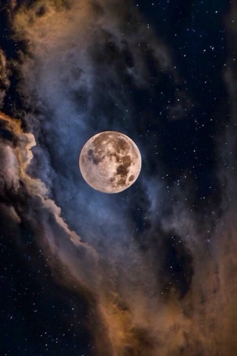 Moon lover